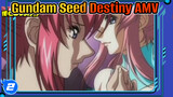 Gundam Seed Destiny -  AMV| Kimi wa Boku ni Niteiru_2