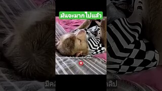 มันจะมากไปแล้ว