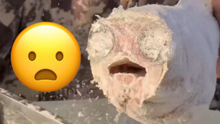 How do you eat fish at temperatures below -40 degrees? ╭(°A°`)╮