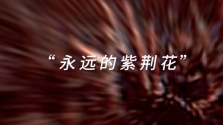 ดอกชงโคตลอดกาลไม่ควรใช้อธิบายความรัก