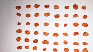 Stop-motion for eating various snacks