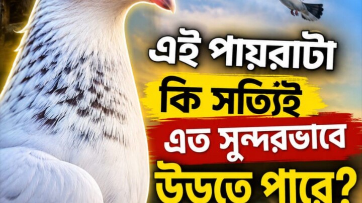 এই বাড়াটা কি সত্যিই এত সুন্দর উড়তে হতে পারে।