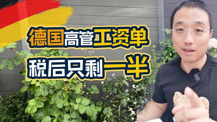 هل سبق لك أن رأيت كشف راتب بـ 160 ألف يوان شهريًا؟ في ألمانيا، عملك كمدير تنفيذي ليس أفضل من العمل ك