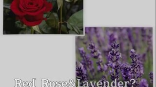 Yuta colab ama @Kazumi_Katashi ||Duo cocan ygyποΈπποΈ