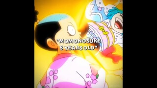 Cú đá yêu thương của Hiyori dành cho Momonosuke. #onepiece #shorts