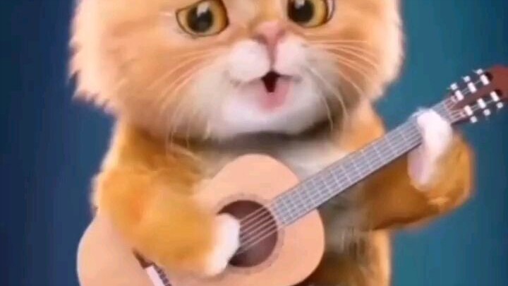 khi nói về người đàn ông🤣🤣🤣