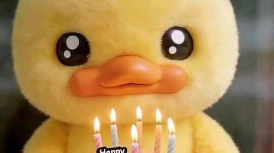 happy birthday to you 🎂