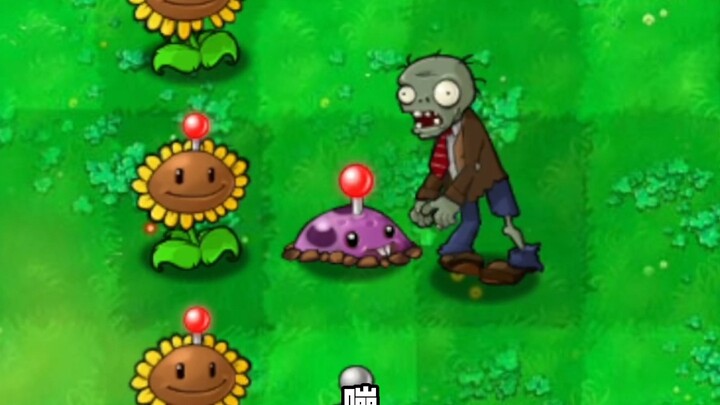 Khoai tây nhát gan Lei