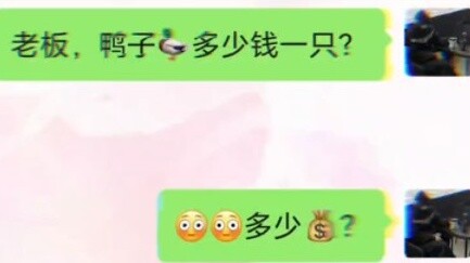 “เป็ดตัวนี้ไม่ใช่เป็ดตัวนั้น”