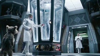 小浣熊独特的温柔