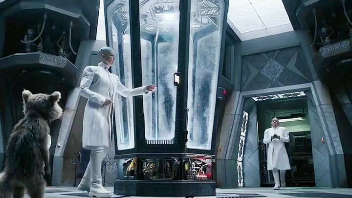 Kehangatan unik rakun kecil