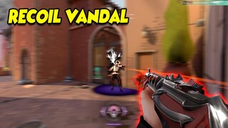 No Recoil Vandal | Valorant