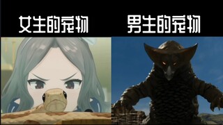 《男 女 有 别 》4.0