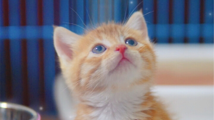 The Siblings' First Conversation