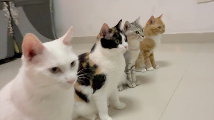 Here’s the all-in-one bloopers reel—except for the stretching segment!