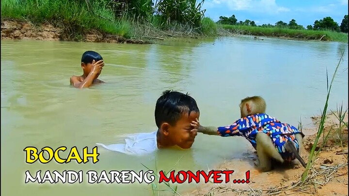 WOW...!! MONYET MANDI BARENG BOCIL ||  Renang Seperti Manusia