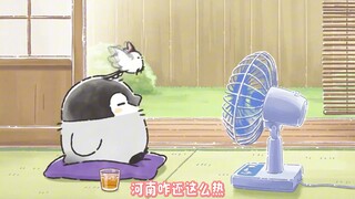 Henan Positive Energy Penguin Third Episode