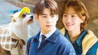 A Good Day to be a Dog Episode 26 Tagalog Dubbed