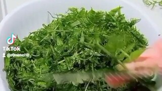 rarest vegetables food in Philippines (legendaryfood) https://vt.tiktok.com/ZS8S7eYjG/