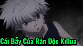 Cái Bẫy Của Rắn Độc Killua