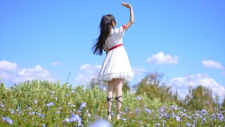 Một năm trong cuộc đời của một cô gái Lolita
