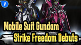 [Mobile Suit Gundam] Strike Freedom Debuts - Vestige_1