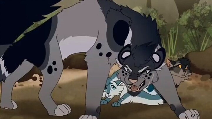 "猫武士高燃混剪，以信念之名，战斗到底！"