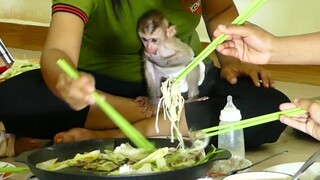 So Adorable! Baby monkey Maki happy Joining small party Eating Dinner with family