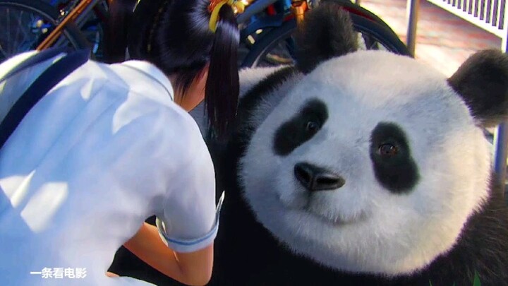 She can go to school with a panda, this girl is amazing