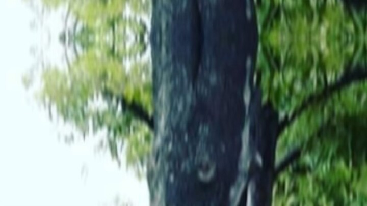 มาไกลมาก555