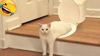 วิดีโอสัตว์ตลก 2022 😂 - วิดีโอแมวและสุนัขที่สนุกที่สุด 😺😍 10