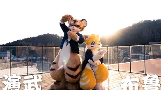 【Fursuit Dance】#桃源恋歌 / 演武&布鲁 /#野兽大都汇「四日火光节」应援舞 / 特别鸣谢场地支持：FURRYHOUSE