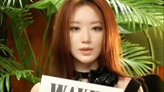 【叶舒华】其实没有所谓的內核强大……