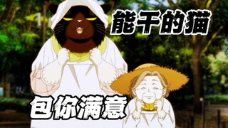 七月新番：比全职保姆还专业的猫敢问谁不喜欢