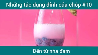 Những tác dụng đỉnh của nha đam p10