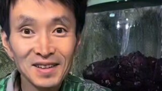 Health TV: Jus Seledri Abadi: Makan Jus Buah dan Sayur sebagai Makanan