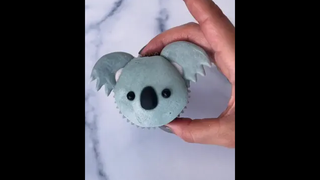 🐨🐨🐨