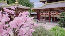 Thần Sứ Đại Nhân Của Ta EP 9 [Sub Việt]