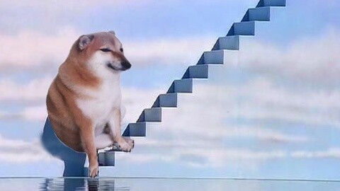 "The World of Dog Doors"