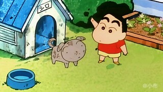 喜欢小白吗