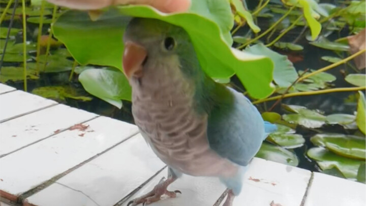 This world just can’t exist without little birds—they’re just too adorable!