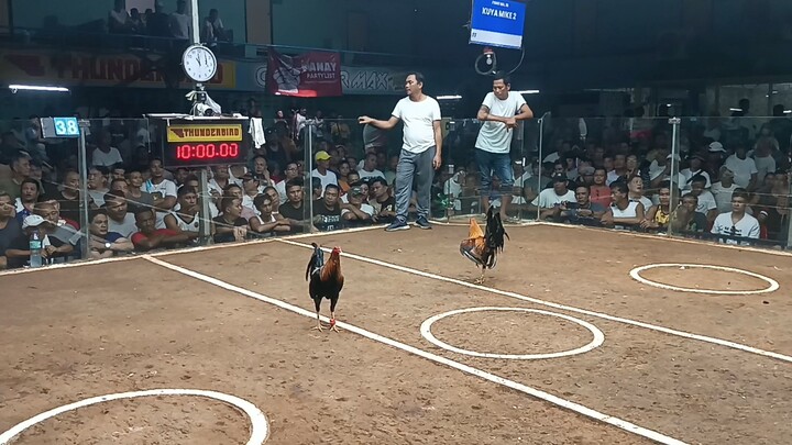 5 years old Lemon Sweater walang sugat