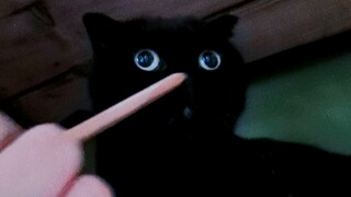 Mengajari kalian menggambar Qian Suisui! Sangat mudah! Bahkan bayi pun bisa belajar!