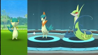 Unova challenge but we came only for shiny Snivy 's debut in Pokemon Go