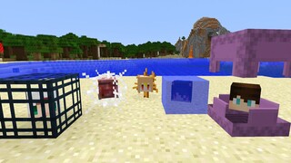 When you can become "any block" at will!!