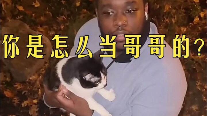 Mèo con trốn ra khỏi nhà bị mẹ phát hiện, hậu quả thật nghiêm trọng!