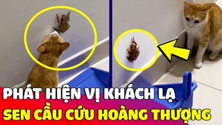 Con Sen hốt hoảng phát hiện 'VỊ KHÁCH LẠ' vào nhà liền cầu cứu HOÀNG THƯỢNG 😂 Gâu Đần