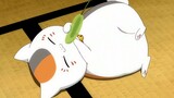 MAD·AMV|Collection of Cat Stealing in "Natsume's Book of Friends"