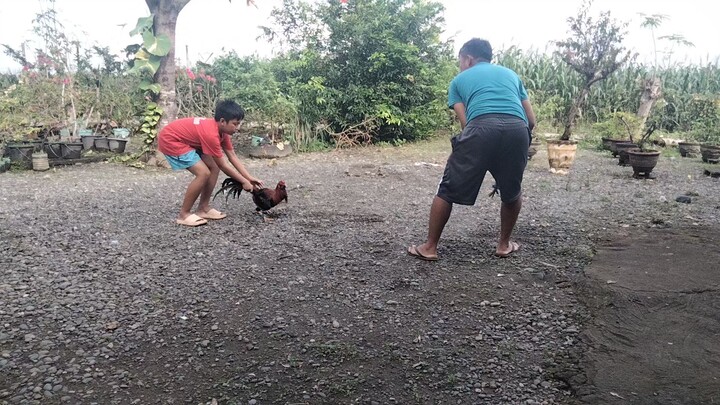 2nd spar of my Muff Dec. 2025