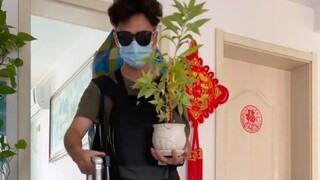 猫：准备出趟远门，差点没了